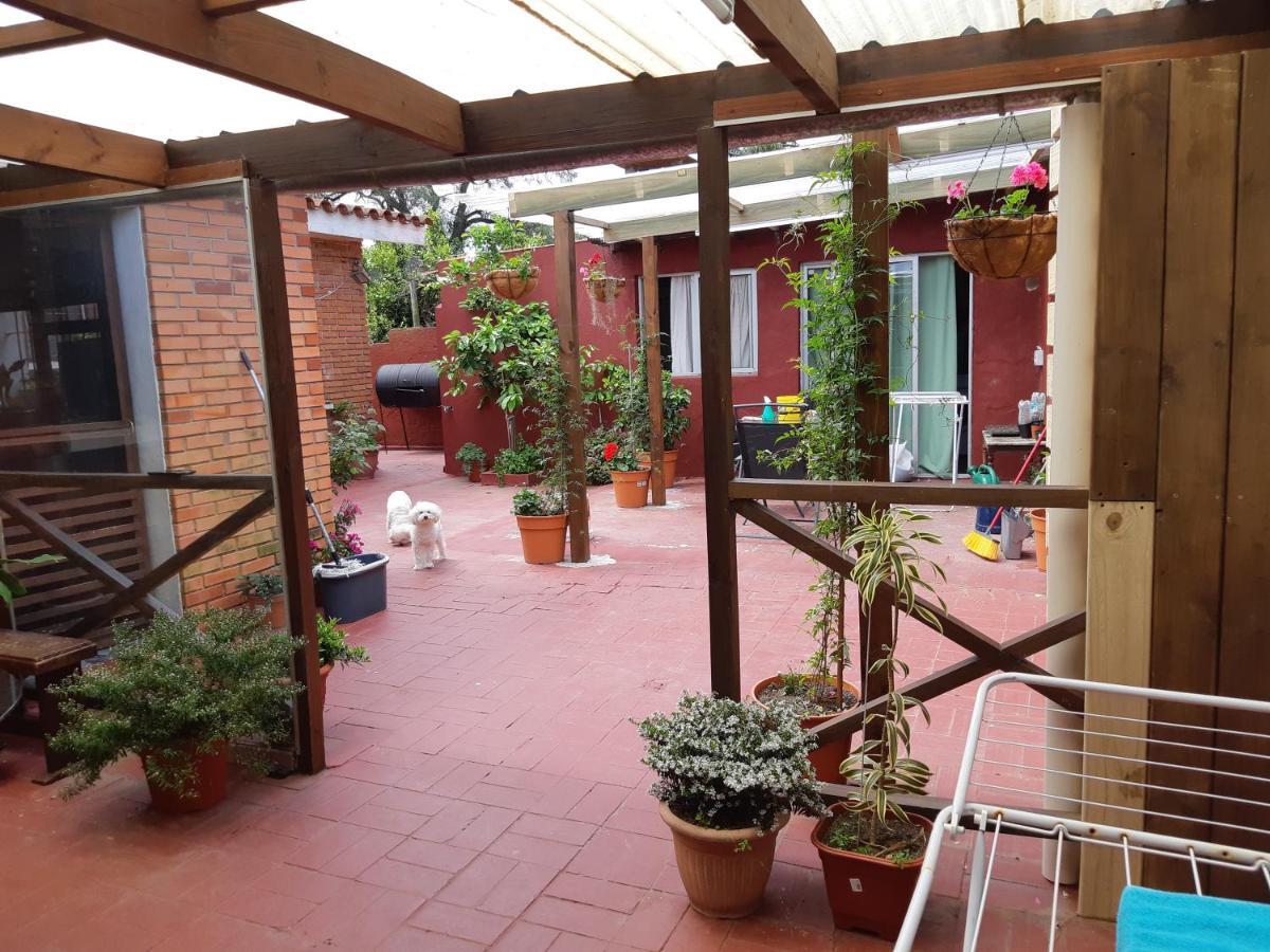 Apartamento Alicia Punta del Este Exterior foto